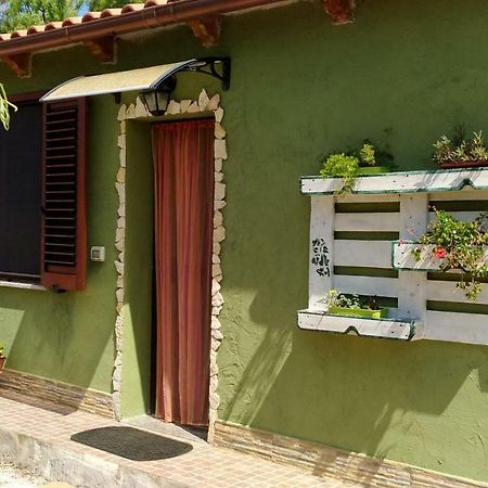 Appartamento Il Salice Casa Minnina 외부 사진