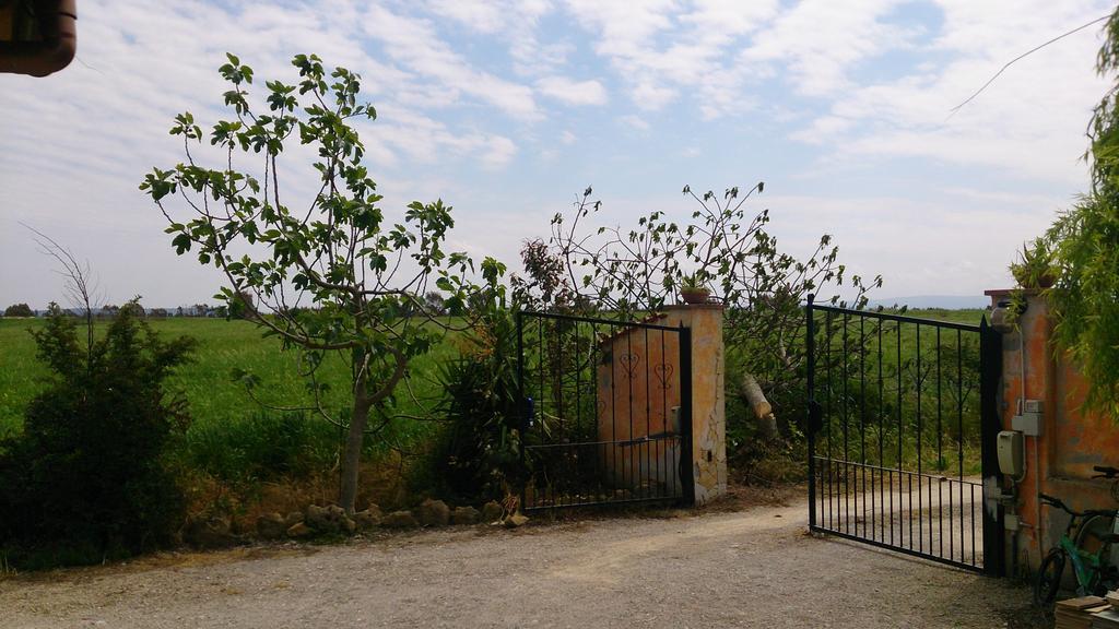 Appartamento Il Salice Casa Minnina 외부 사진